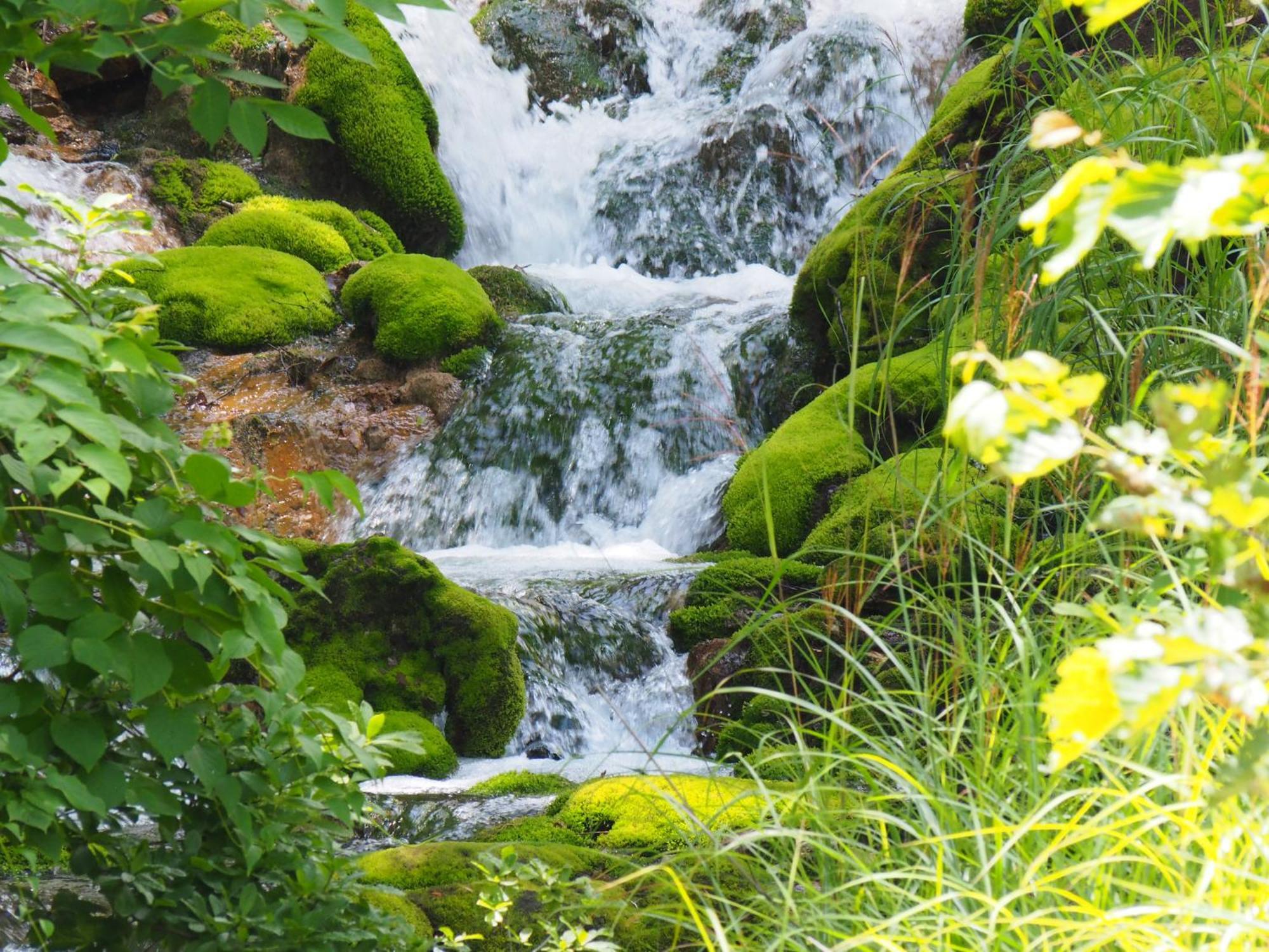 Buna Kusatsu Onsen Inn Bagian luar foto