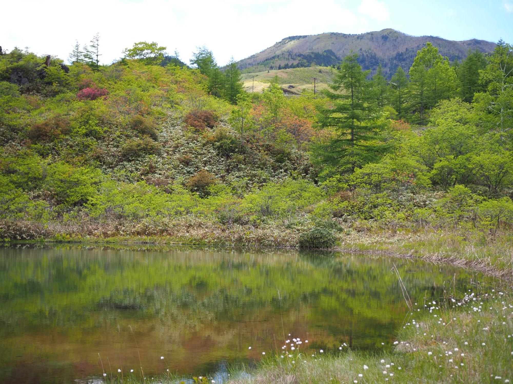Buna Kusatsu Onsen Inn Bagian luar foto